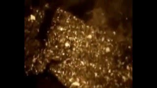 NaaN(x) - Always new (Void Controller -Redit)