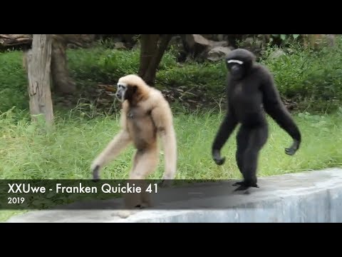 XXUwe - Franken Quickie 41