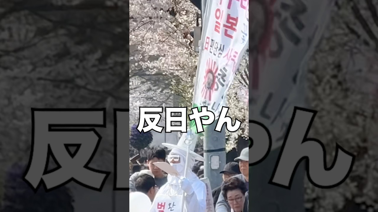 韓国の桜祭りで桜は韓国の物だと主張する反日に日本語を使ってみた