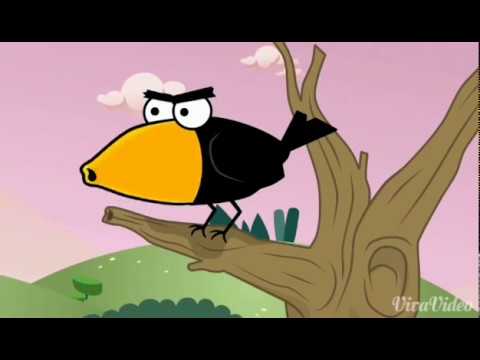 Cuervo bipolar comaland