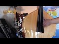 Pacas Verdes Slappin Da Bass Cover Ma Pacas Verdes Slappin Da Bass Cover Ma