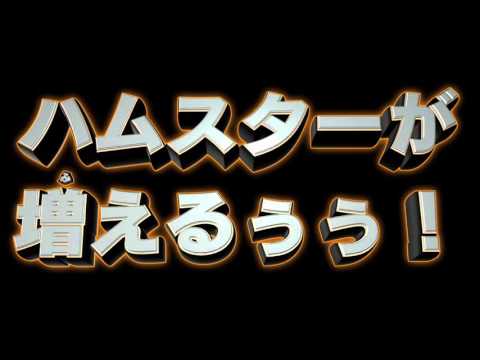 Duel Masters Versus Revolution Final