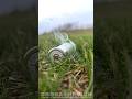 INFINITE SHOTGUN AMMO Shorts Shotgun Gun Hunting Usa Shot Weapon Shootingrange Test Loop