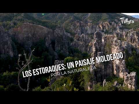 Los Estoraques: Un Paisaje moldeado por la naturaleza - TvAgro por Juan Gonzalo Angel