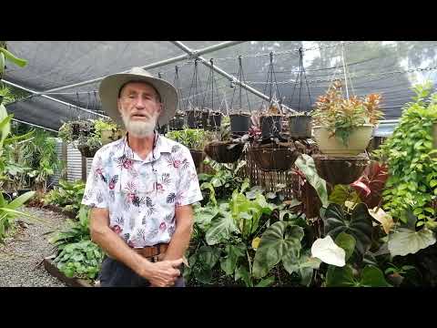 Talking Earthlife and Garden Delight with Steve Flood