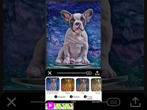 Paintation Video: Art Filters