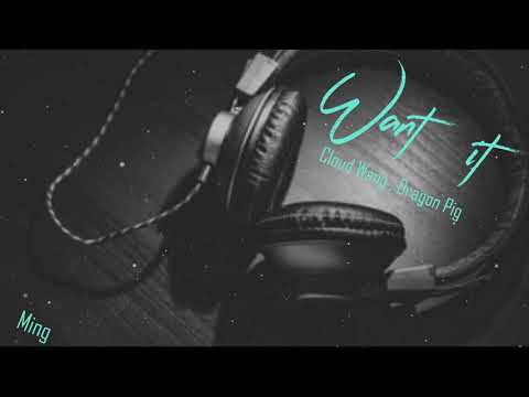 Want It - Cloud Wang & Dragon Pig