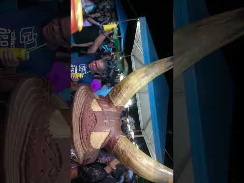 AS CANTORA MAIS TOP DO BRASIL EM BARRO VERMELHO BELEM ALAGOAS BRASIL