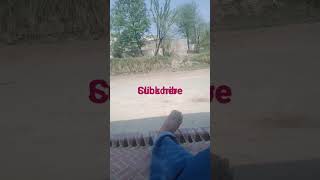 Download lagu subhanallah walhamdullillah la illah Ayesha Abdul basit #tone #mobilringtone ## #music #ara #топ mp3