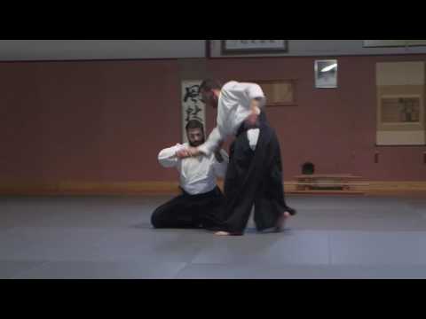 Hanmi hantashi waza et ushiro kubi shime ● Kobayashi Ryu Aikido