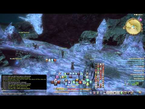 FFXIV HW Part 144 Lv 45 AST Job Quest