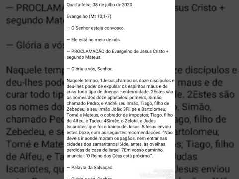 Evangelho do dia 08/07/2020