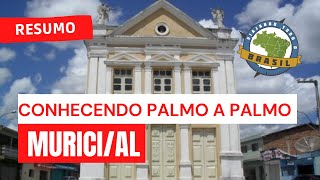 preview picture of video 'Viajando Todo o Brasil - Murici/AL'