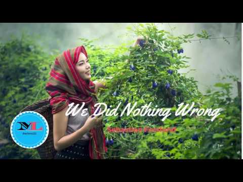We Did Nothing Wrong By Sebastian Forslund [Indie Pop Music]