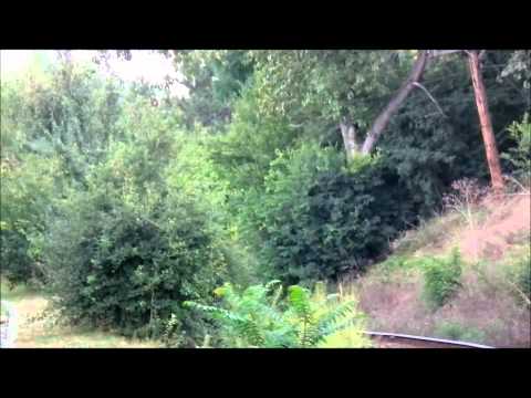 R 936 Oradea - Mangalia