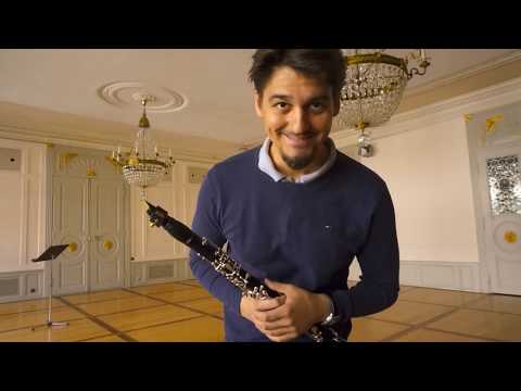 Tagebuch eines verschollenen Orchesters – 11. Eintrag von Stojan Krkuleski