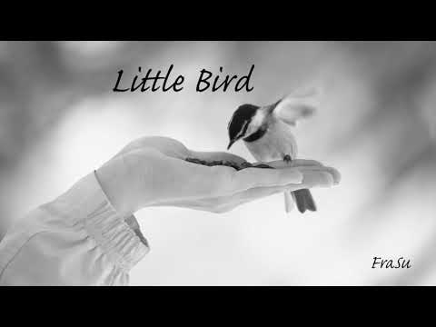 Frank Drüll - Little Bird