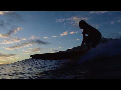 Mark Wilkinson - Phosphene (Official Music Video)