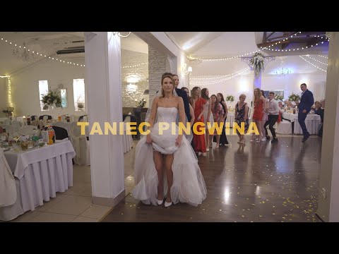 TANIEC PINGWINA / Zespół muzyczny CAPRII / Otwock Wielki / Foto Video Natalia Zaleska