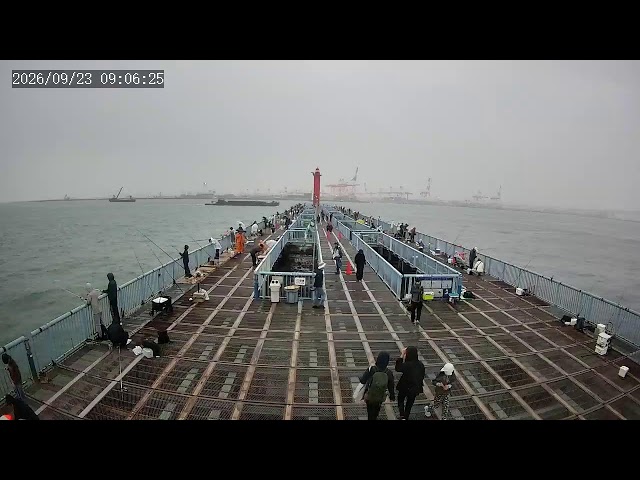 大黒海づり施設 横浜フィッシングピアーズ