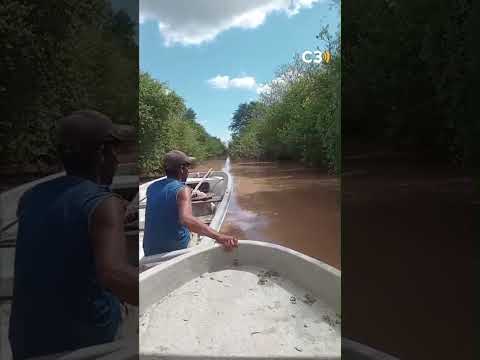 El Río Pilcomayo se desbordó y dejó zonas inundadas en Rivadavia Banda Norte | Cadena 3 Argentina
