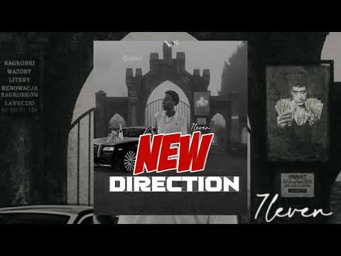 Sleven - New Direction (Official Audio Visualizer)