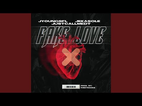 Fake Love (feat. Justcallmedt)