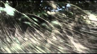 The Young Gods - The Otherland