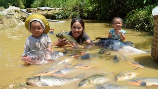 Download lagu Encounter a huge school of fish - catch fish and trap fish to sell - buy clothes - milk for children mp3 Download lagu Encounter a huge school of fish - catch fish and trap fish to sell - buy clothes - milk for children mp3