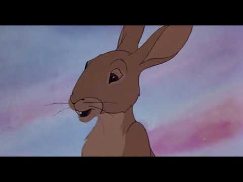 The Watership Down Walk AMV - Bright Eyes