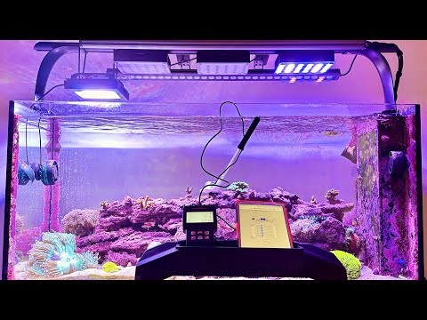 Reef Light Showdown: EcoTech Radion G6 v. ReeFi Uno 2.0 Pro - A Battle Of Intensity