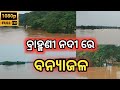 ବ୍ରାହ୍ମଣୀ ନଦୀରେ ବନ୍ଯାଜଳ😊 ଇନ୍ଦୁପୁର କେନ୍ଦ୍ରାପଡା flood water in brahmani river 😱 asitkumar flood