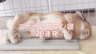 可愛い♡うさぎコテン寝20連発！【Sleep so that the rabbit suddenly collapses】
