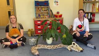 Rumble in the jungle gameplay video by Brooke Butterfly, 3:09 duration