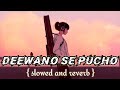 Deewano Se Pucho Sad Songs Slowed Reverb Lofi Song Youtube Music Musicvideo Song Romantic