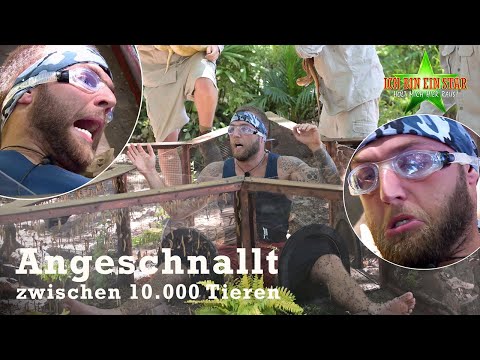 Dschungelprüfung "Athos": Angeschnallt stellt sich Filip seiner größten Angst | Dschungelcamp 2022