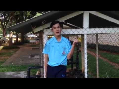โรคผิวหนังภูมิแพ้, ความบกพร่องทางพันธุกรรม ครีม psora กลาก