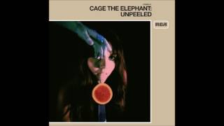 Cage the Elephant - Whole Wide World (Live)