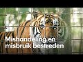 Hitserie Tiger King leidt tot fokverbod tijgers in VS