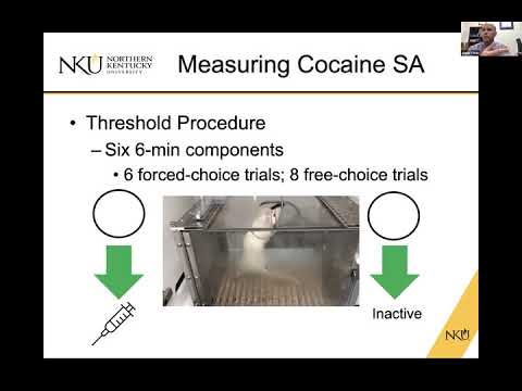 Virtual Seminar Series: Sept 22, 201 - Neuroscience and Epidemiology of Drug Addiction