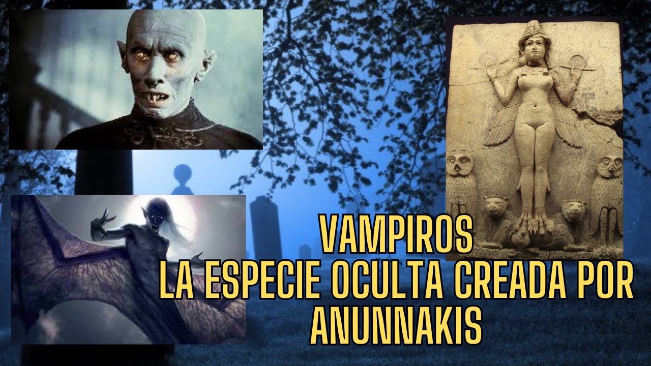 LOS VAMPIROS SON UNA ESPECIE REAL Y OCULTA