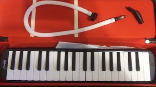 Video thumbnail for Mugig melodica review and test by Jonah Drake
