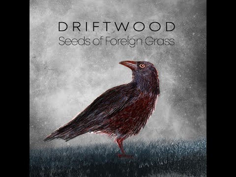 DRIFTWD - Seeds Of Foreign Grass