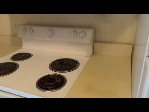 A Bad Cockroach Infestation Throughout...