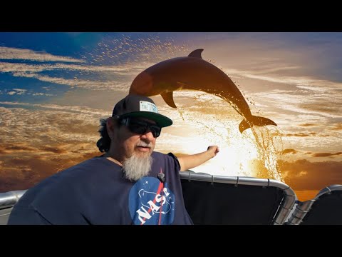 We Went Whale Watching And Ended Up In A Dolphin Race!