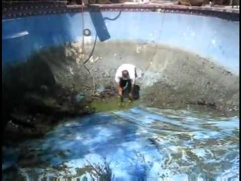 Fat Guy Faceplant Into Pool