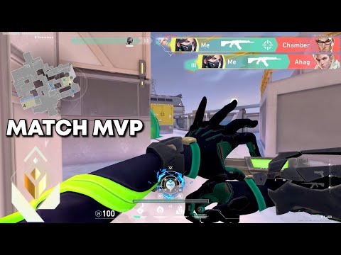 How a Radiant Viper Thinks