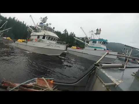 Kami "Banannas" Cabana ramming F/V Tepmptation.