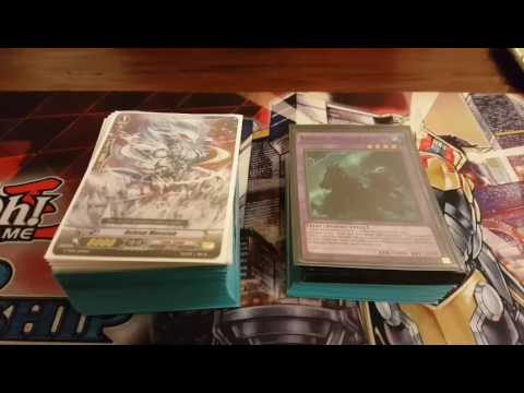 7th Place WCQ: Regional 2017 Hero Frog