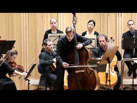 Sperger/Roggen - Kontrabasskonzert Nr. 16 D-Dur (1/2)